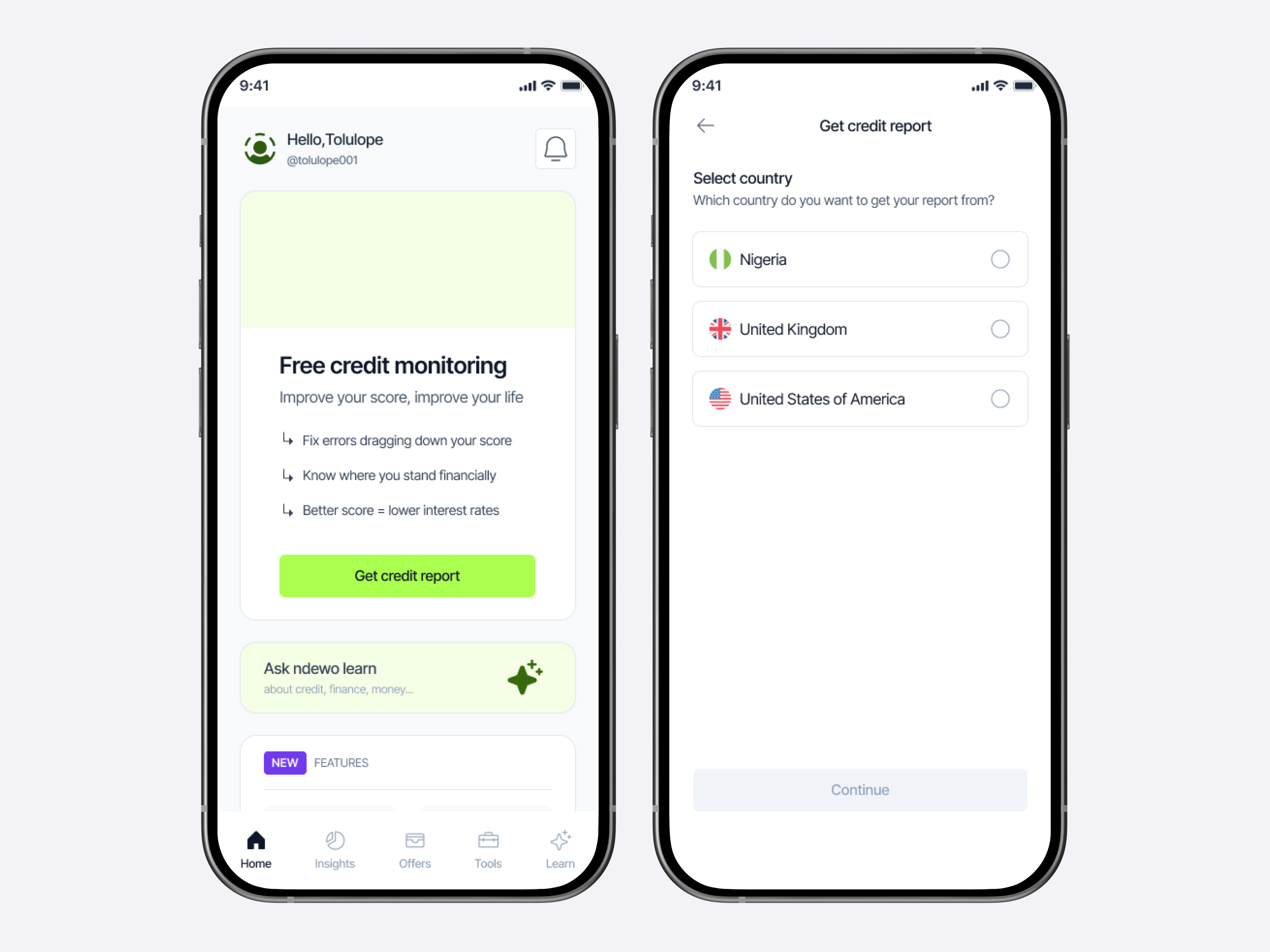 Free credit monitoring and report screens