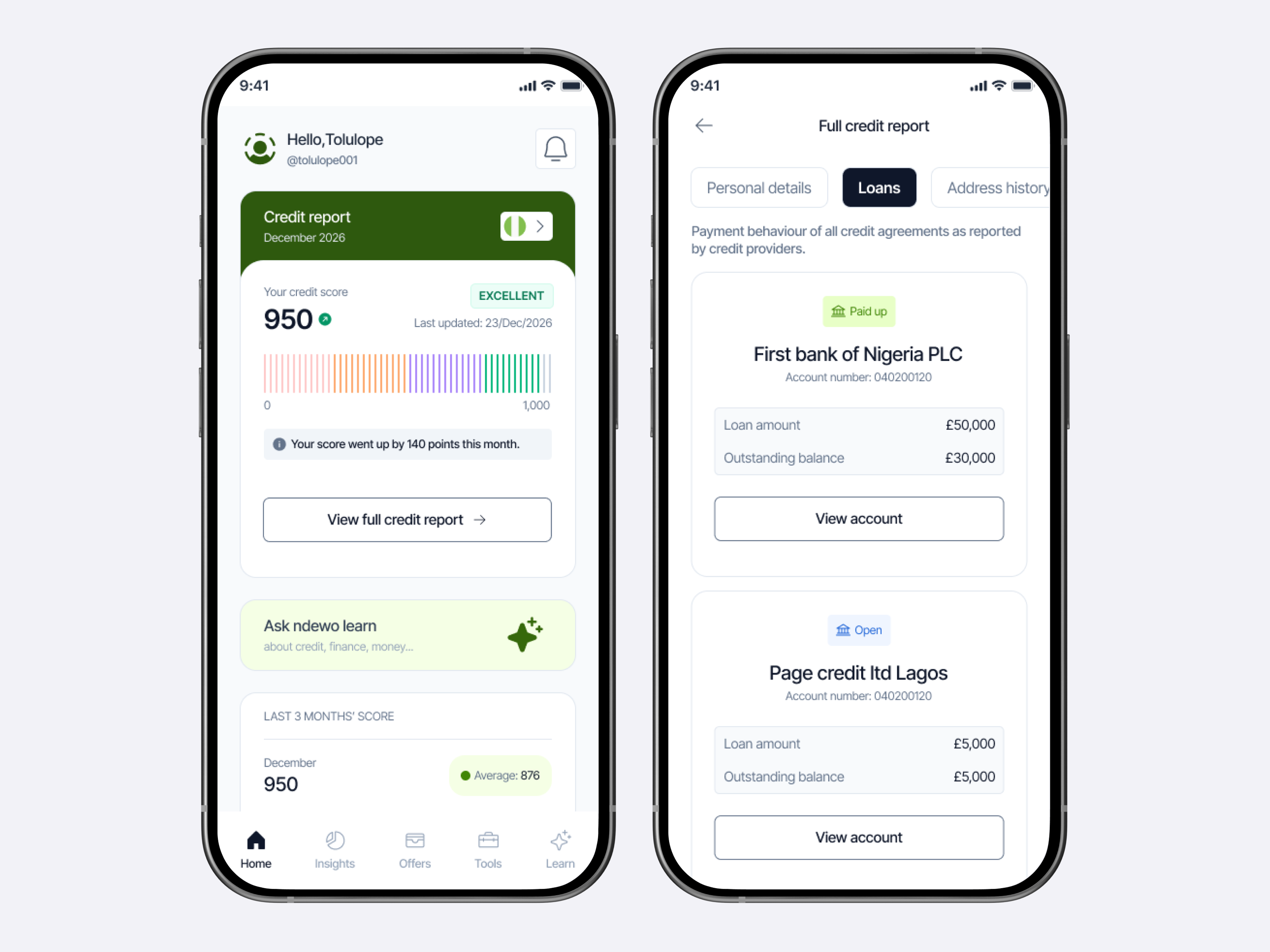 Credit report details and full credit report screens